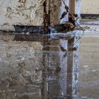 Flood Damage Cleanup 0